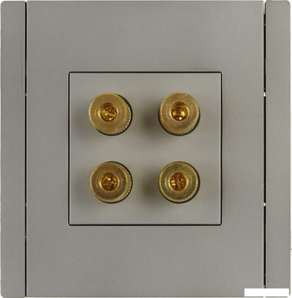 Розетка акустическая IEK Forte&amp;Piano FP-S40-K46
