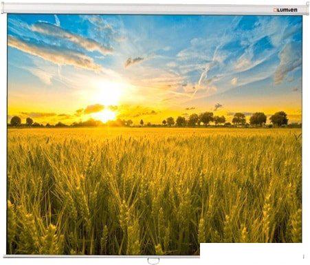 Проекционный экран Lumien Eco Picture 206x274 LEP-100115