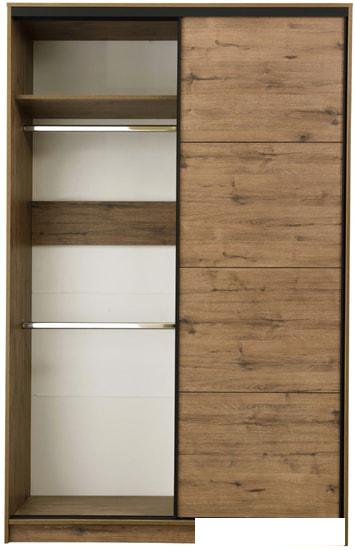 Шкаф-купе Рэйгрупп Bromo VVH 03 РГ-12.03 B 120 VVH 120x220.5 (дуб велингтон/черный)