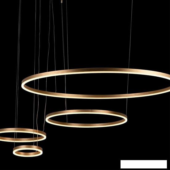 Подвесная люстра LOFT IT Ring 10017/4L