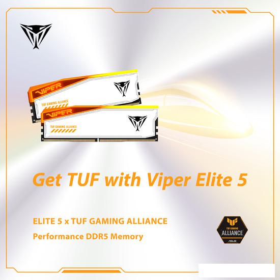 Оперативная память Patriot Viper Elite 5 RGB TUF Gaming Alliance 2x16ГБ DDR5 6000 МГц PVER532G60C36KT