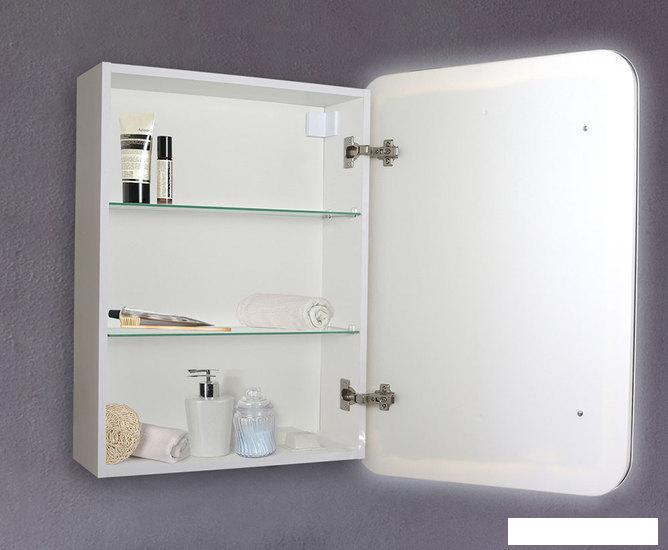 Silver Mirrors Шкаф с зеркалом Фиджи 60x80 LED-00002363