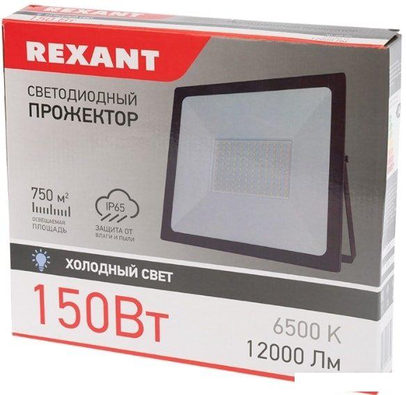 Уличный прожектор Rexant 605-006