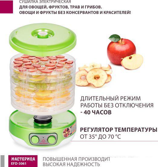 Сушилки для овощей и фруктов Мастерица EFD-3061 (зеленый перламутр)