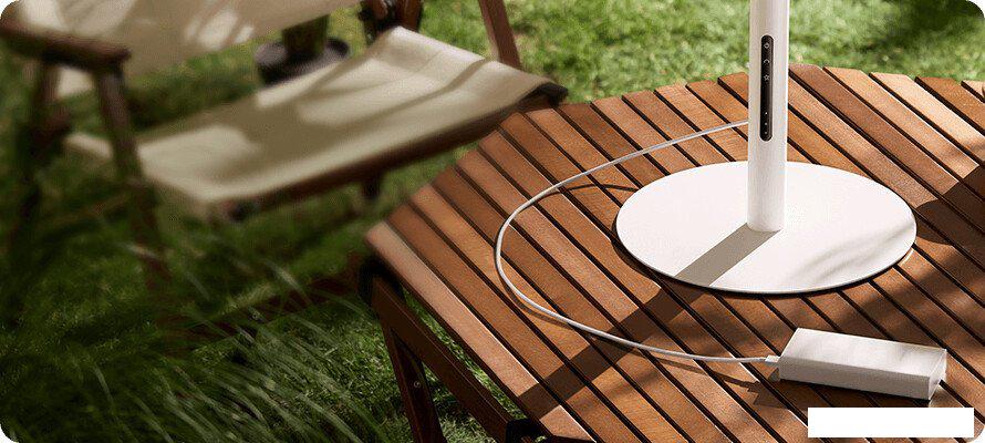 Вентилятор Xiaomi Smart Standing Fan Pro Slim EU BPLDS12DM (с евровилкой)