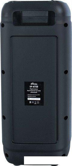 Беспроводные и портативные колонки Ritmix SP-875B
