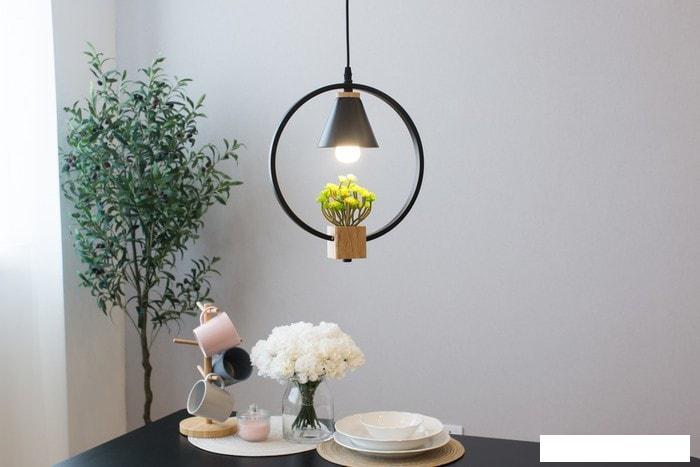 Подвесная люстра Home Light Астерия A042-2-В
