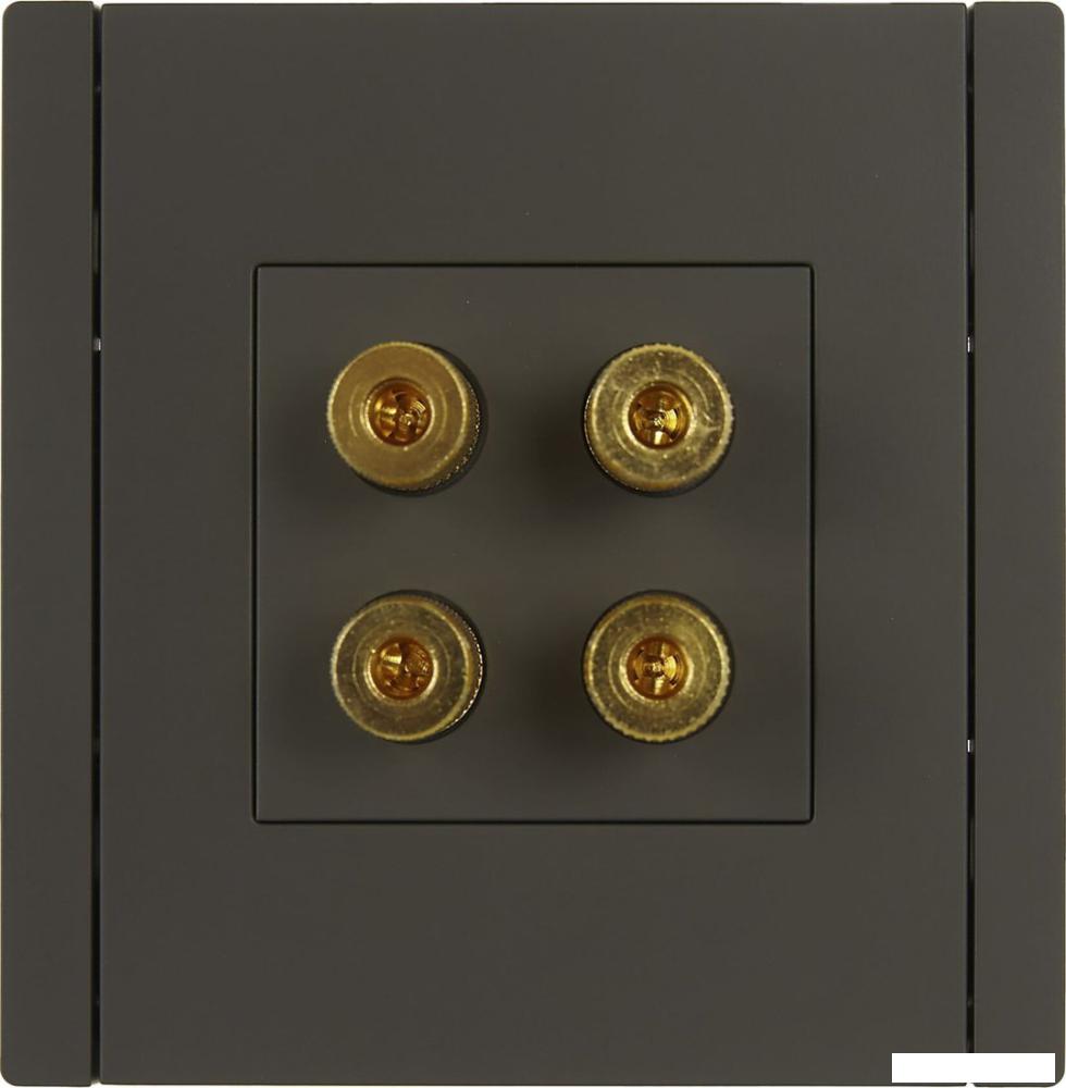 Розетка акустическая IEK Forte&amp;Piano FP-S40-K03