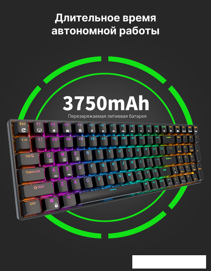 Клавиатура Royal Kludge RK100 RGB (черный, RK Red)