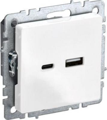 Розетка USB IEK Brite BR-U22-018-K01