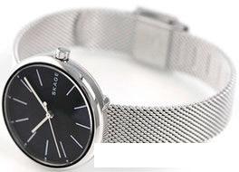 Наручные часы Skagen SKW2596