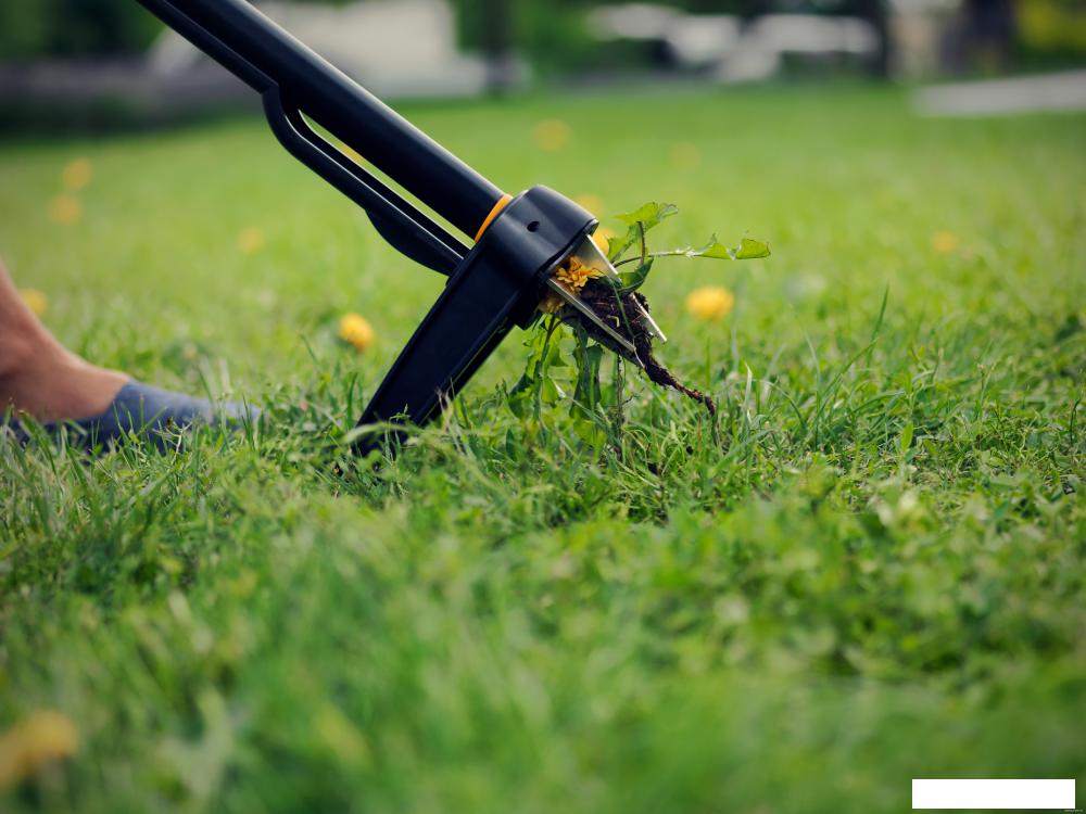 Корнеудалитель Fiskars Xact 1020126