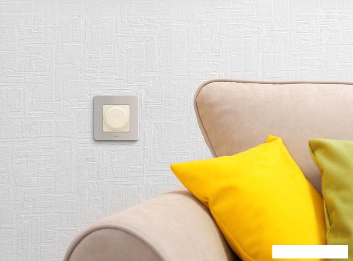 Розетки, выключатели Legrand Inspiria 673791