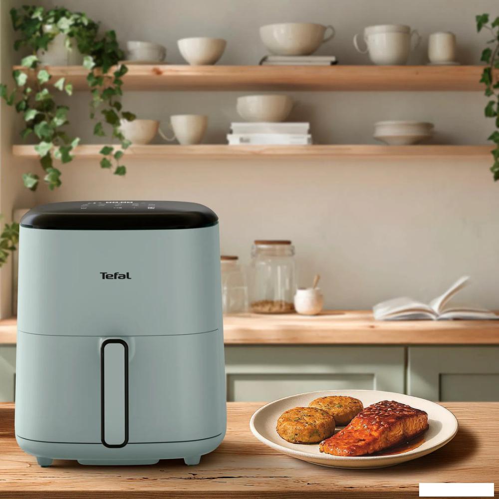 Аэрогриль (аэрофритюрница) Tefal EY2454E0