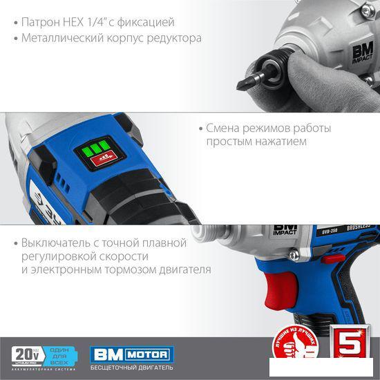 Шуруповерты, гайковерты, электроотвертки Зубр Профессионал GVB-250-22 (с 2-мя АКБ, кейс)