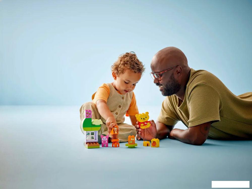 Конструктор LEGO Duplo Disney День Рождения 10457