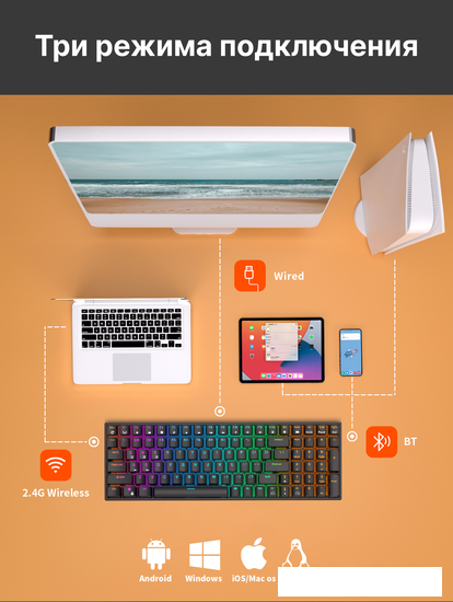 Клавиатура Royal Kludge RK100 RGB (черный, RK Red)
