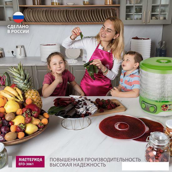 Сушилки для овощей и фруктов Мастерица EFD-3061 (зеленый перламутр)