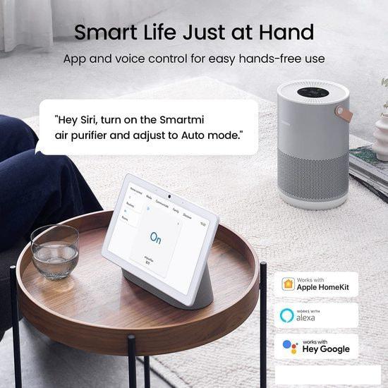 Очиститель воздуха SmartMi Air Purifier P1 ZMKQJHQP12 (международная версия, серебристый)