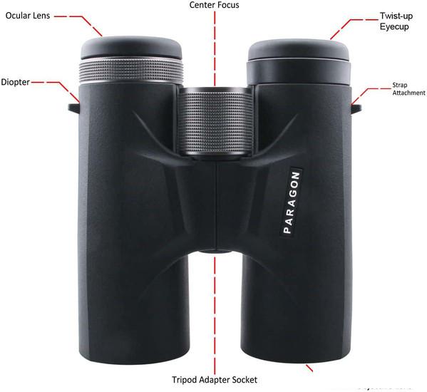 Бинокль Vector Optics Paragon 8x42 83171