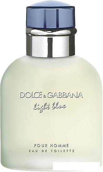 Туалетная вода Dolce&amp;Gabbana Light Blue pour Homme EdT (40 мл)