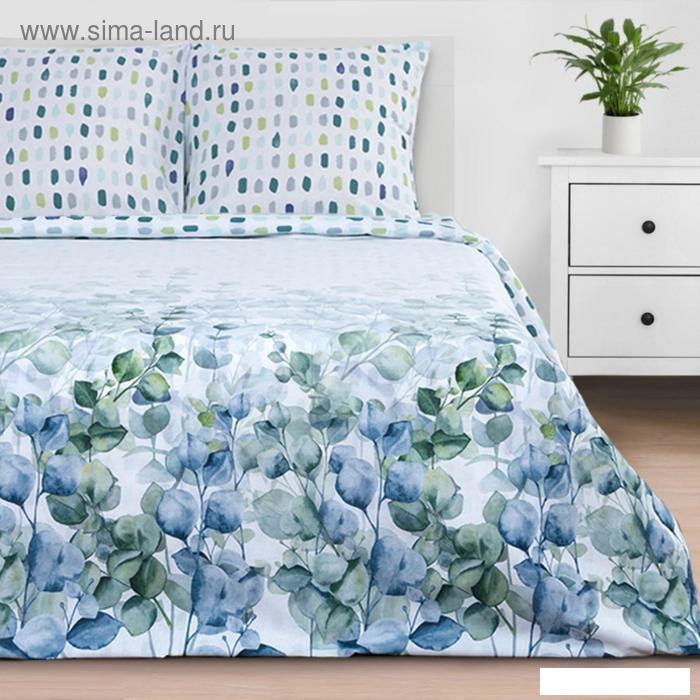 2-спальный комплект постельного белья Этель Eucalyptus 5181645