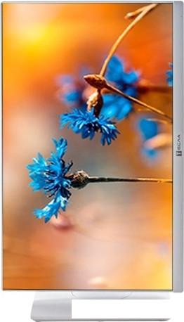 Моноблок ТЕСЛА P24WP 2416500