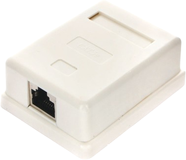 Розетка компьютерная Cablexpert NAS212