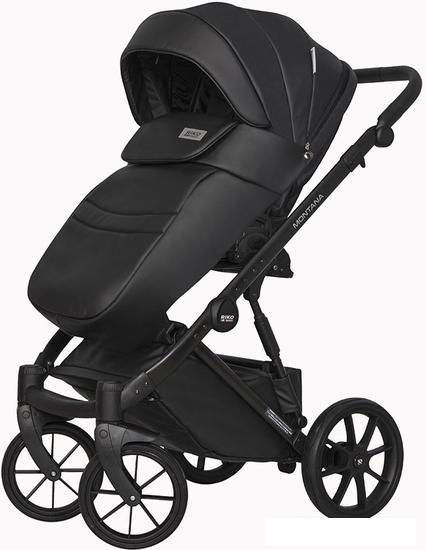 Универсальная коляска Riko Basic Montana Ecco (3 в 1, 12/черный)
