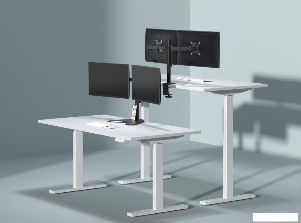 Кронштейн для монитора ErgoSmart Twin II