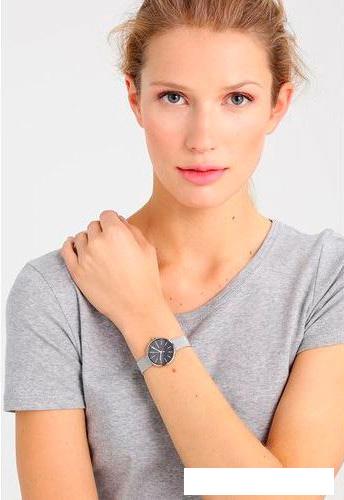 Наручные часы Skagen SKW2596