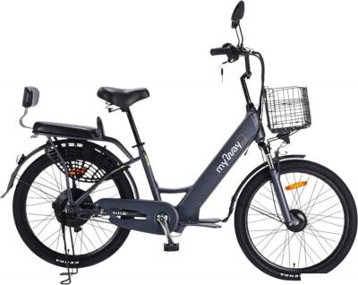 Электровелосипеды MyWay Truck 500 24 (графит)