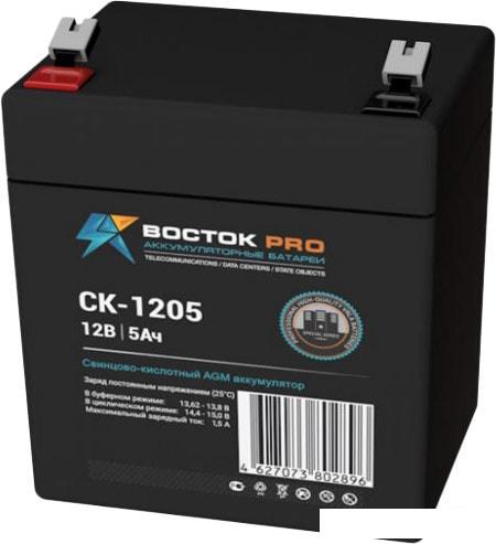 Аккумулятор для ИБП Восток СК-1205 (12В/5 А·ч)