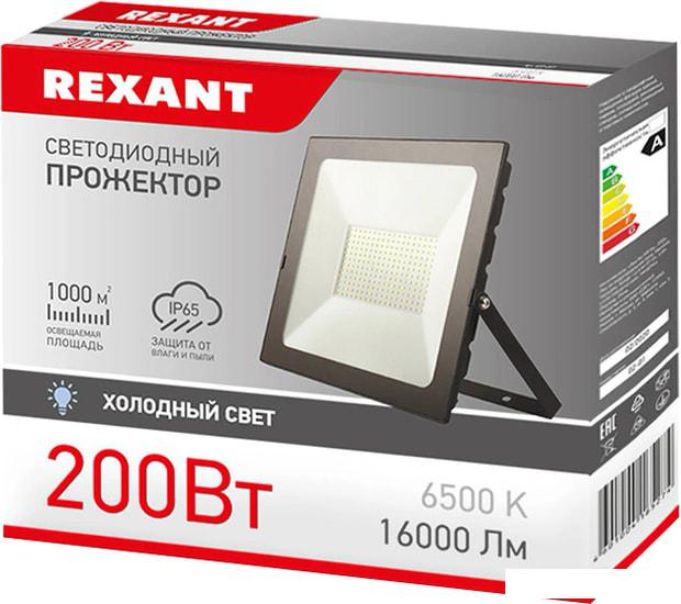 Уличный прожектор Rexant 605-007