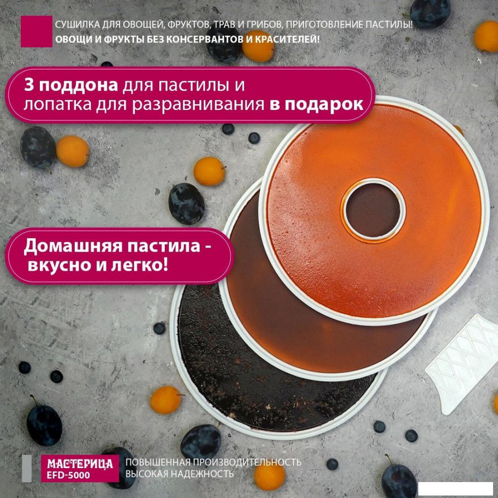 Сушилка для овощей и фруктов Мастерица EFD-5000
