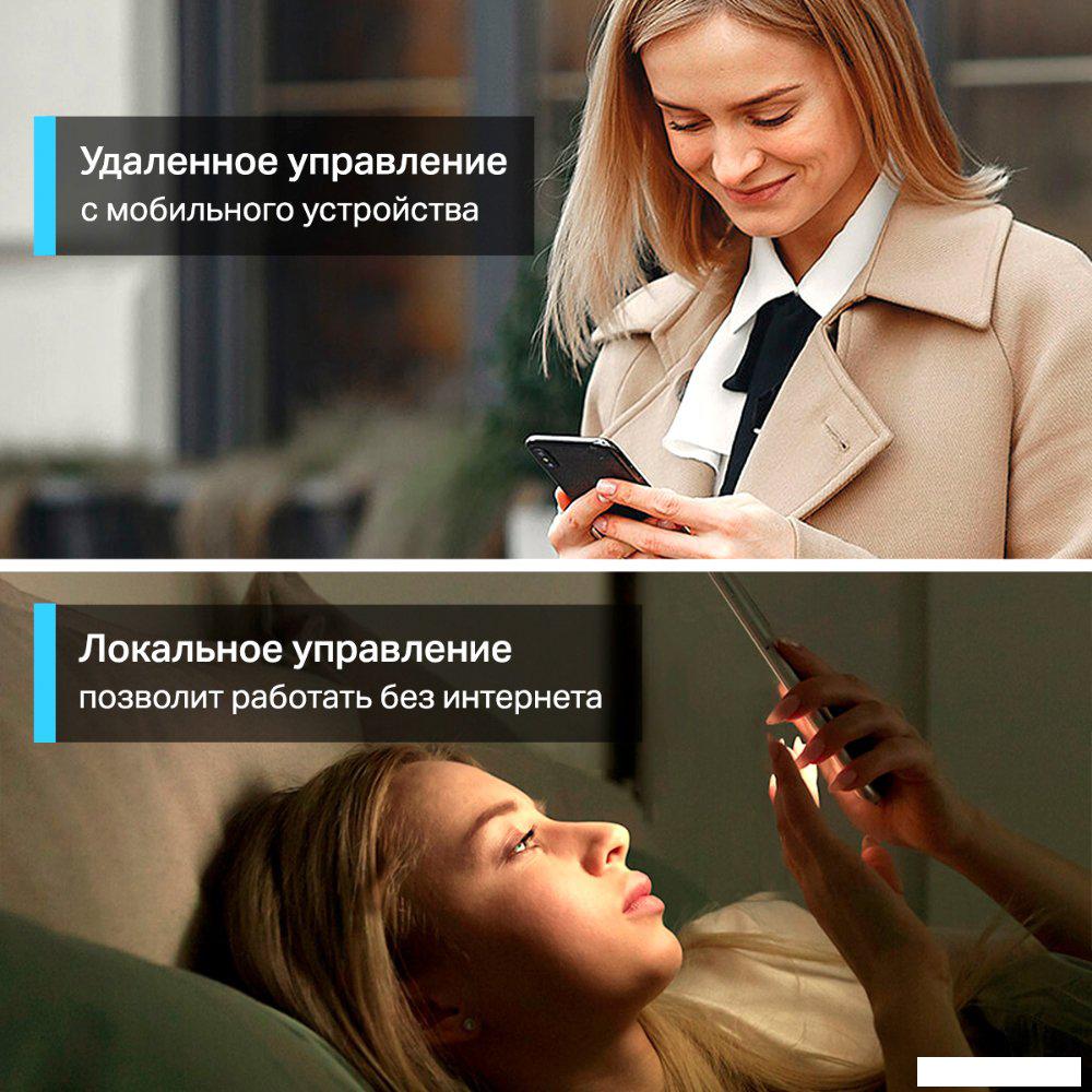 Умная розетка TP-Link Tapo P115