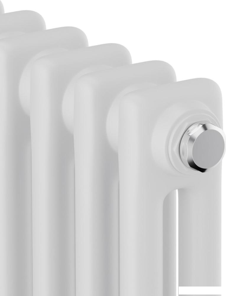 Стальной трубчатый радиатор Royal Thermo Insignia C2180 - 08 секций RAL9016