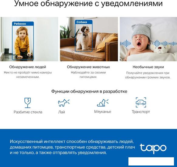 IP-камера TP-Link Tapo C220