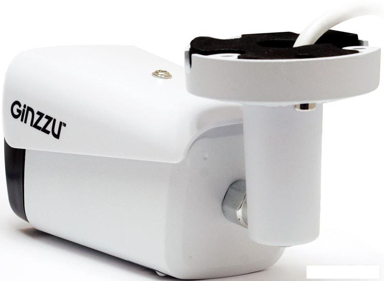 IP-камера Ginzzu HIB-2301S