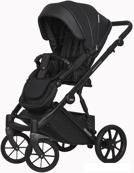 Универсальная коляска Riko Basic Montana Ecco (3 в 1, 12/черный)