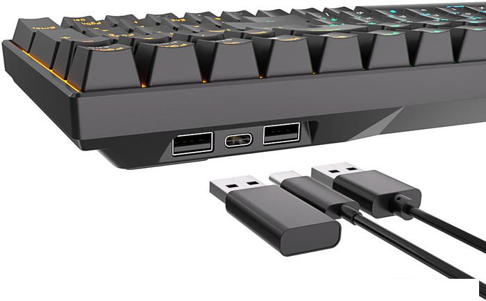 Клавиатура Royal Kludge RK100 RGB (черный, RK Red)