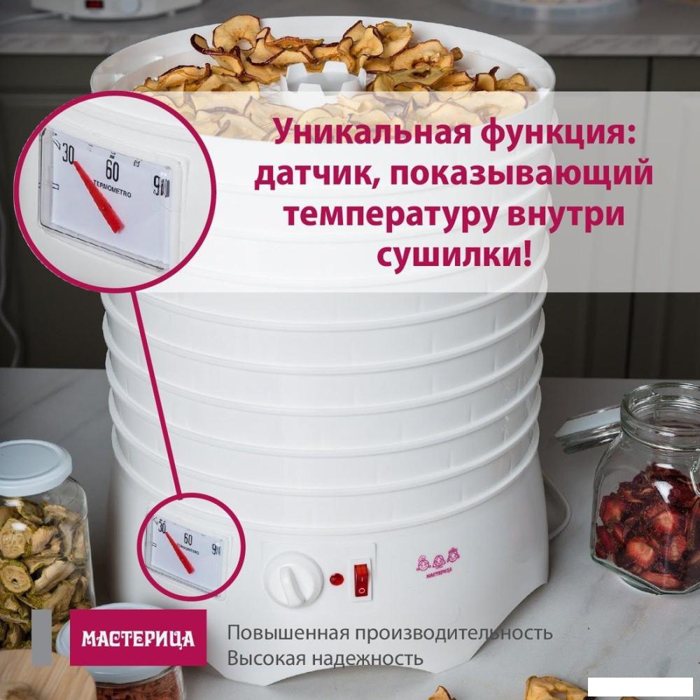 Сушилка для овощей и фруктов Мастерица EFD-0602VM (6 белых поддонов + 2 прозрачных поддона + поддон для пастилы)