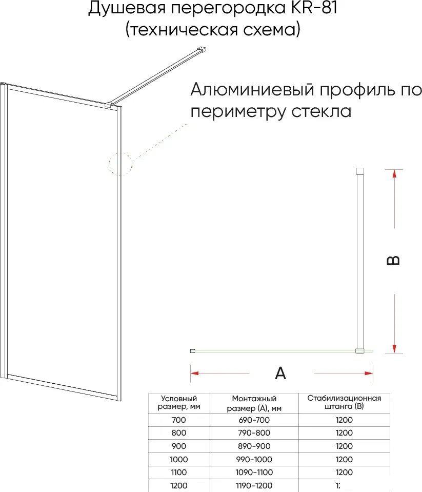 Душевая стенка Veconi 100x200 KR81B-100-01-C8 (стекло прозрачное/черный)