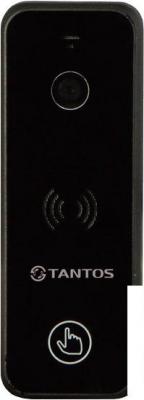 Вызывная панель Tantos iPanel 2+ (черный)