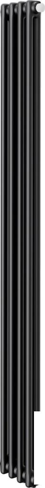 Стальной трубчатый радиатор Royal Thermo Insignia VC2180 - 04 секций RAL9005m