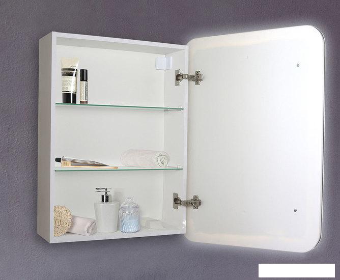 Silver Mirrors Шкаф с зеркалом Фиджи 50x75 LED-00002362