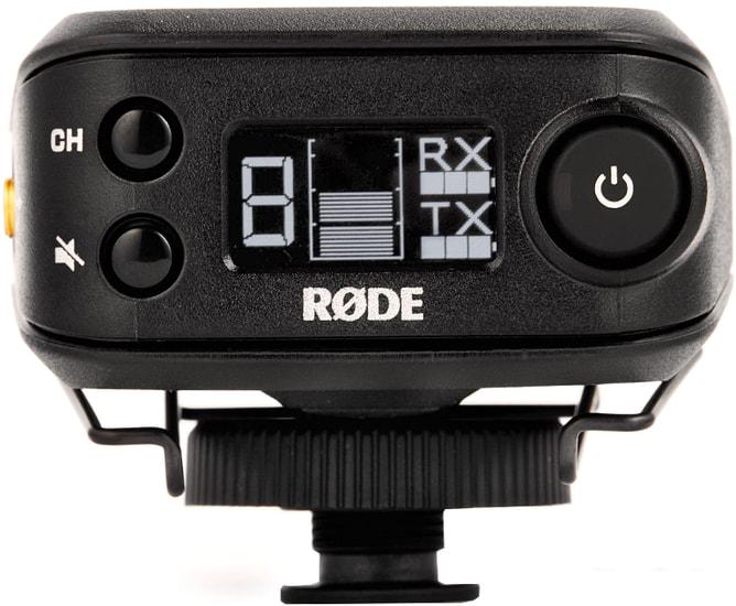 Приемник RODE RX-CAM
