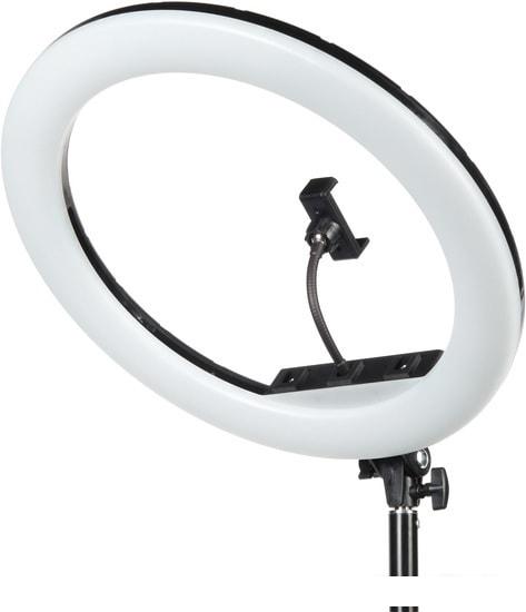 Кольцевая лампа Falcon Eyes BeautyLight 480RC LED