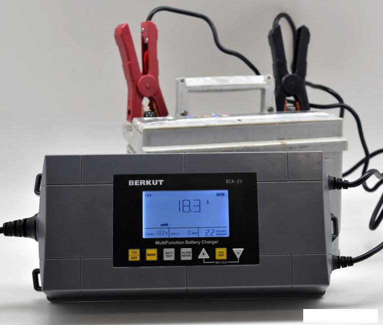 Зарядное устройство Беркут BCA-25