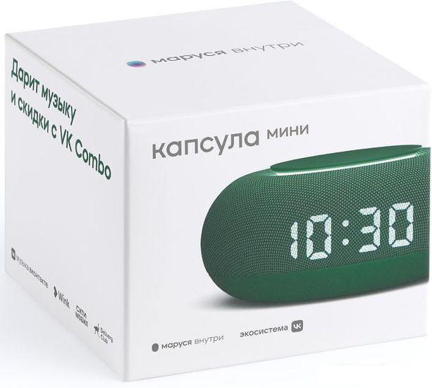 Умная колонка VK Капсула Мини (хвойный зеленый)